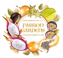 Passion Gardens