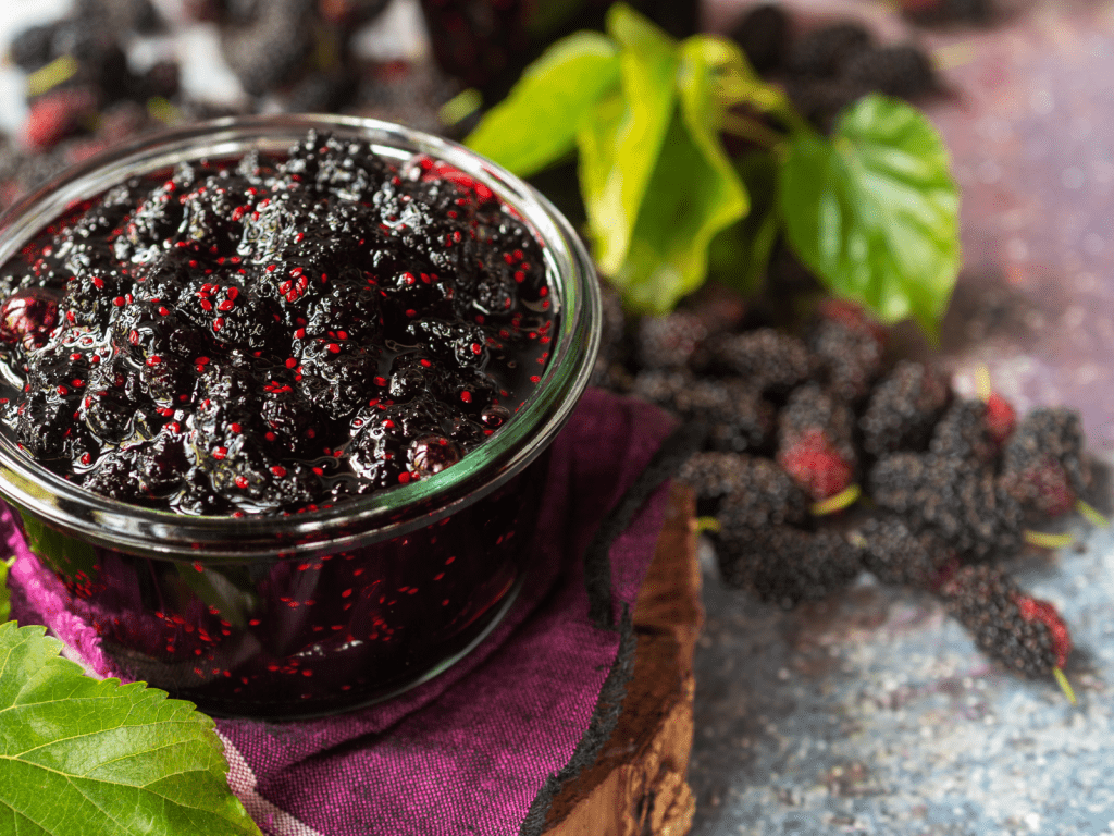 Mulberry Jam – Passion Gardens