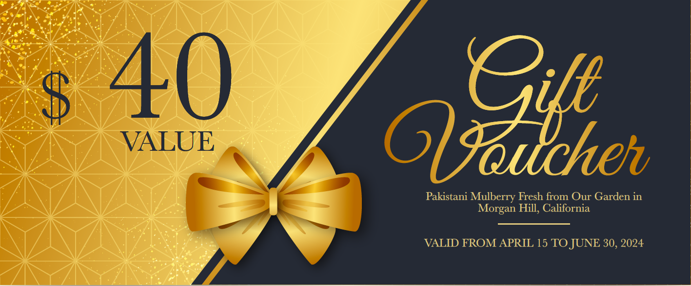 Gift Voucher